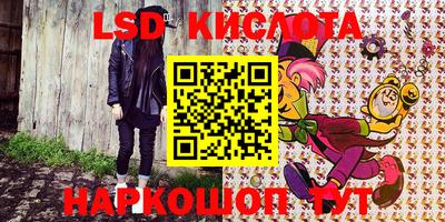 стафф Можга