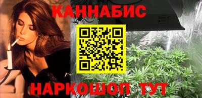 Альфа ПВП Моздок