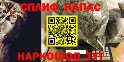 Альфа ПВП Моздок