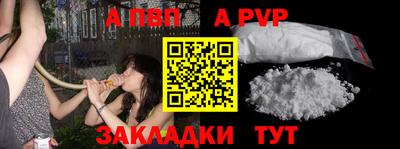 Альфа ПВП Моздок