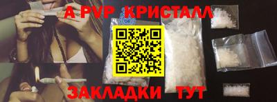 Альфа ПВП Моздок