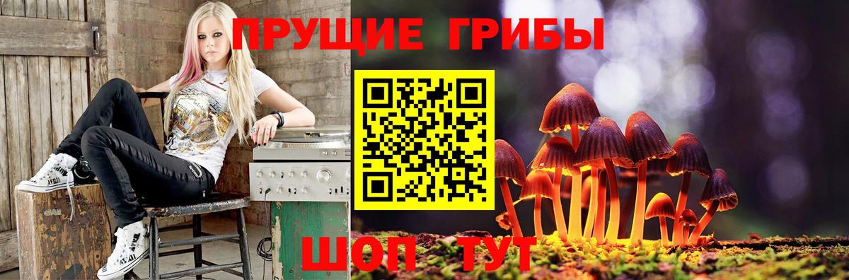 Рузаевка  Галлюциногенные грибы Psilocybine cubensis  Вход с VPN 